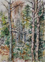 Three Birches