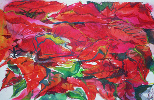 Pointsettia I