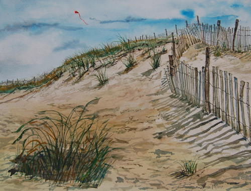 Fence Shadow with Kite